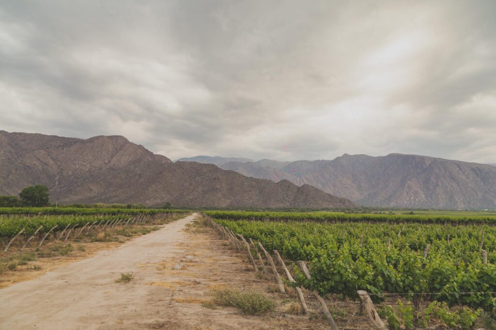 imagen modo ilustrativo 